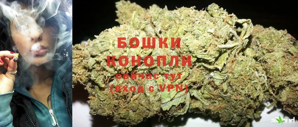 сатива Армянск