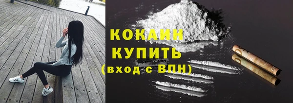 сатива Армянск