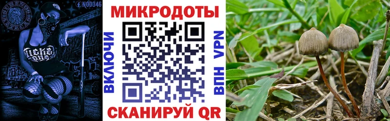 Купить закладки  Железноводск  Псилоцибиновые грибы GOLDEN TEACHER 