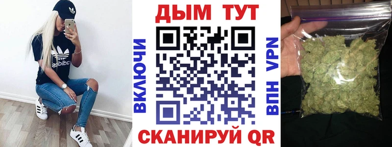 Каннабис сатива Железноводск